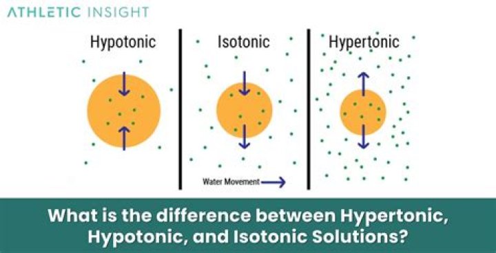 Is water hypertonic or hypotonic?