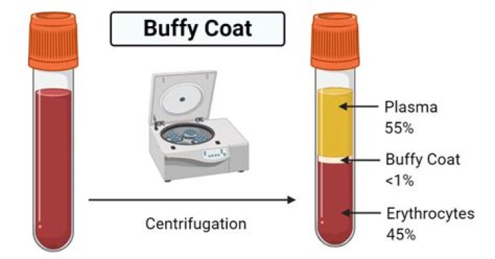 On quantitative buffy coat?