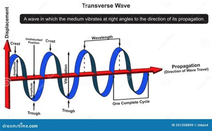 On the transverse definition?