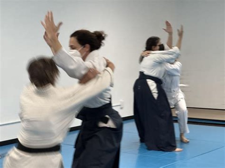 Should i practice aikido?