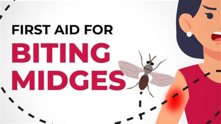 Should i squeeze a midge bite?