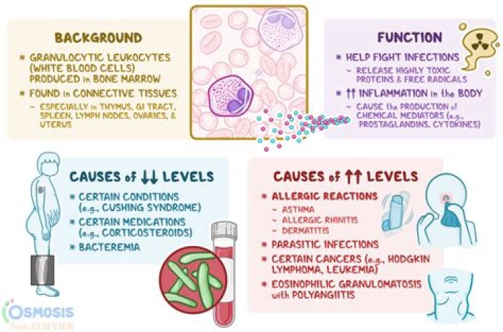 Should i worry about high lymphocytes?