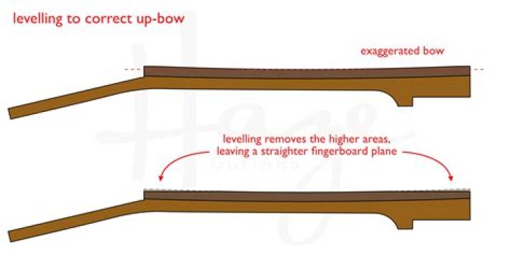 Should my guitar neck be bowed?