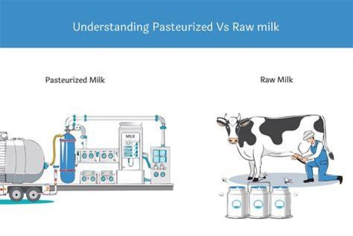 Should we boil pasteurized milk?