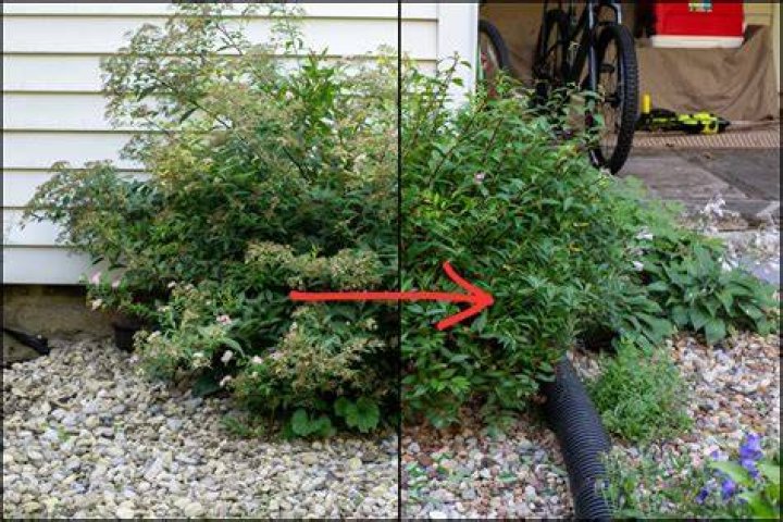 Should you cut back landscaping?