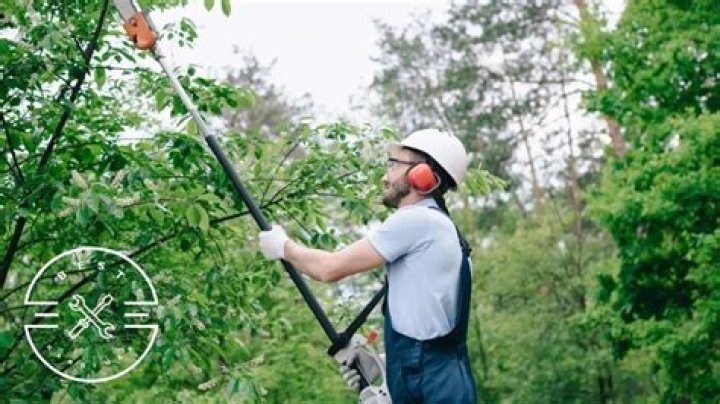 Should you tip tree cutters?