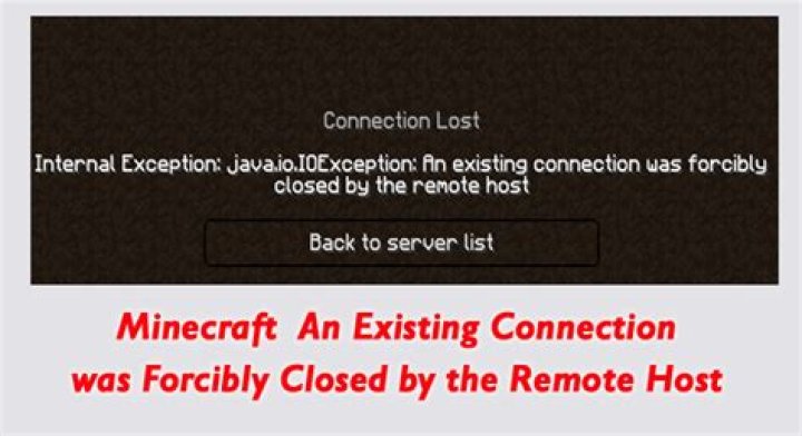 Was forcibly closed by the remote host minecraft?
