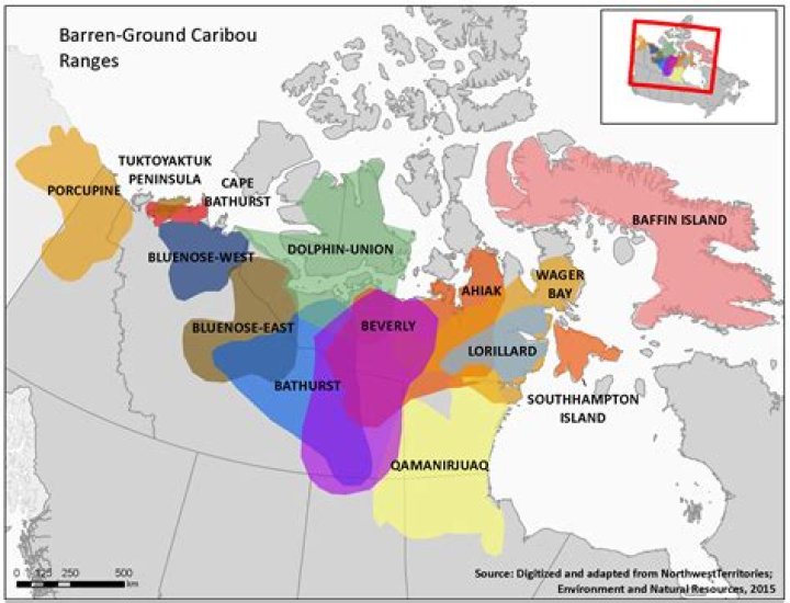 Were do caribous live?