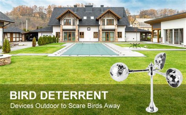 What are bird deterrents?