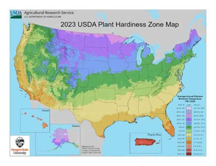 What are usda zones?