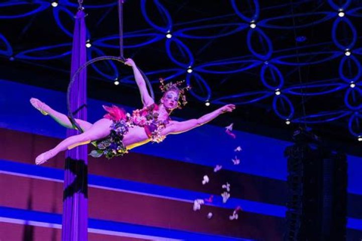 What do aerialists do?