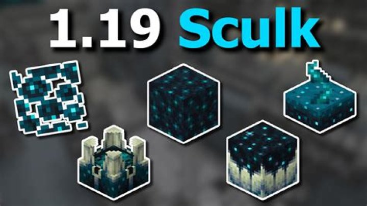 What do skulk blocks do?