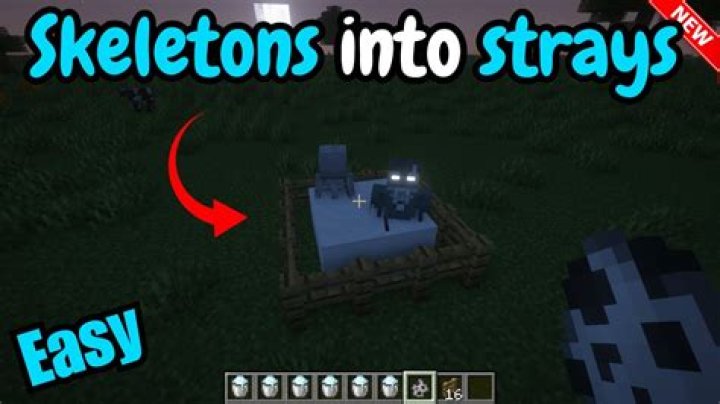 What do strays drop in minecraft?