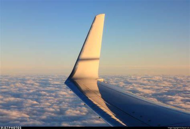 What does a winglet do?