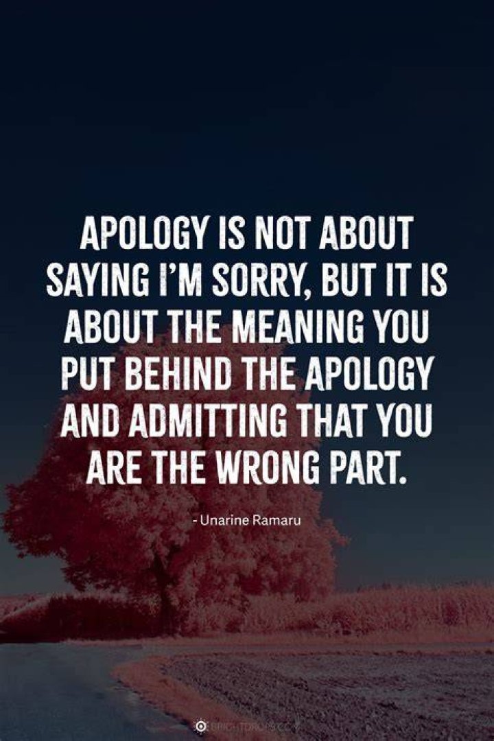 What does apologizing mean?