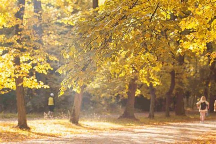 What does autumn mean?