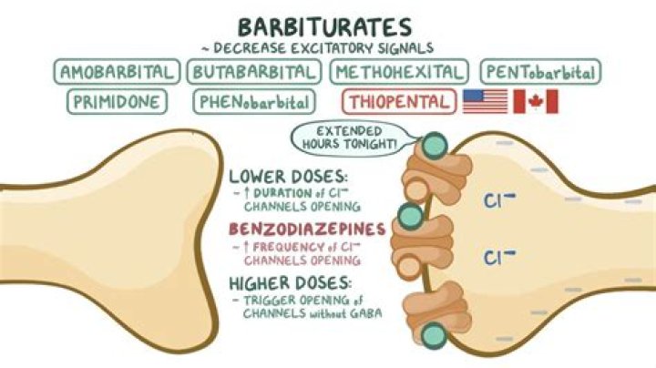 What does barbital do?