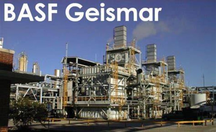 What does basf geismar make?