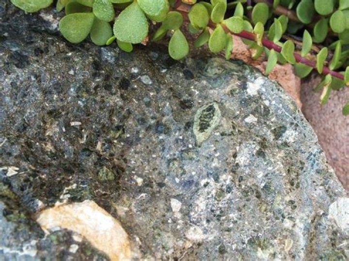 What does diamondiferous meaning?