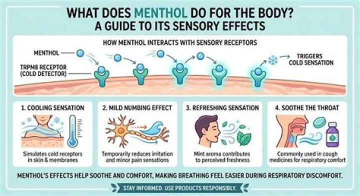 What does menthol do to your body?