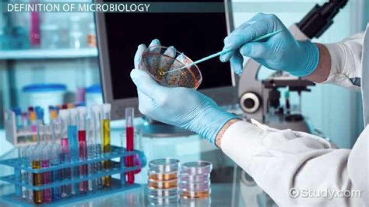 What does microbiological mean?