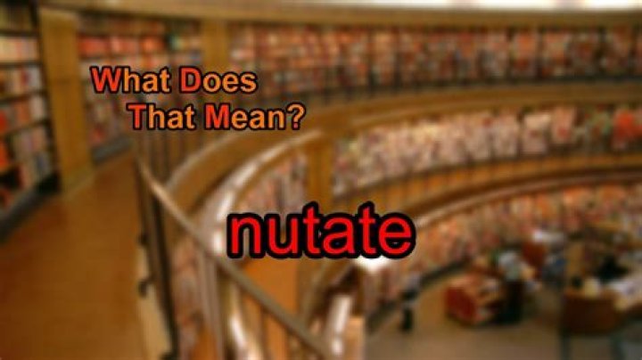 What does nutate mean?