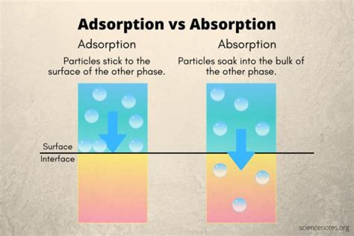 What does over absorption mean?