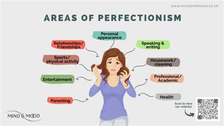 What does perfectionist mean?