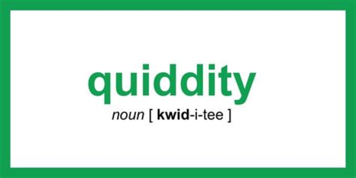 What does quiddity mean?