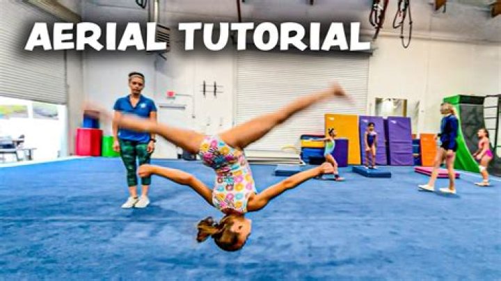 What is a aerial?