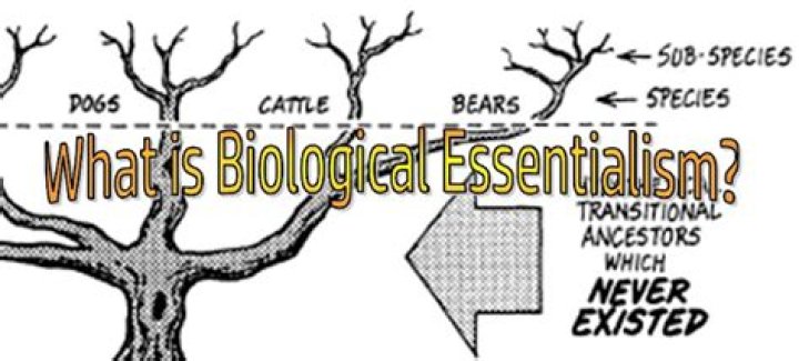 What is biological essentialism?