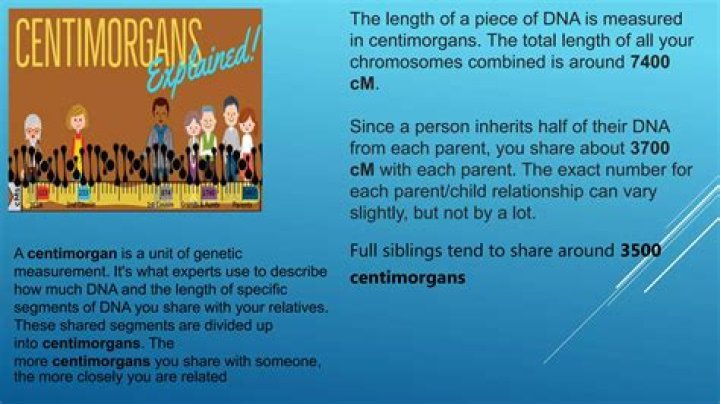 What is centimorgan unit?