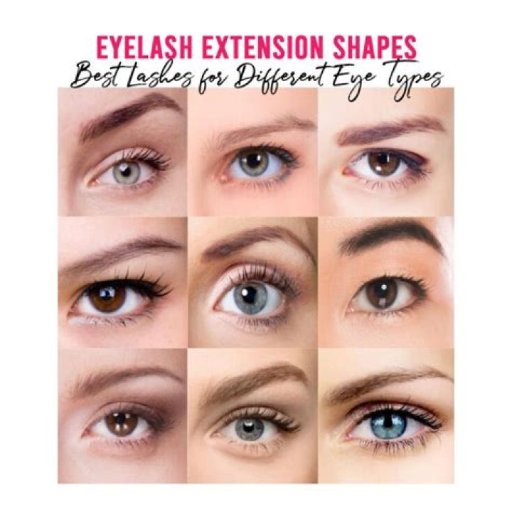 What is eye lash?