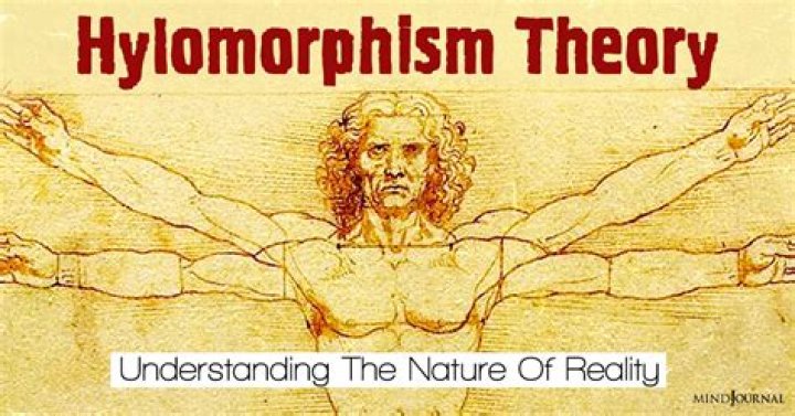 What is hylomorphic doctrine?
