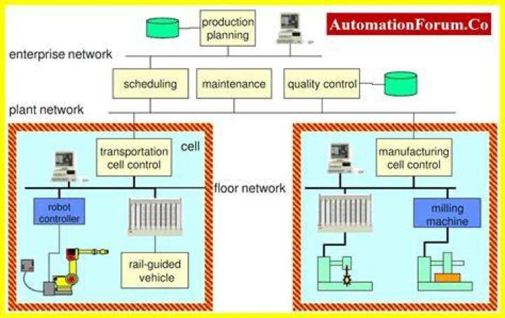 What is meant by splanchnology?