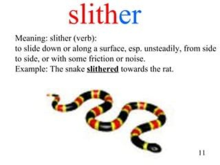 What is slithered definition?