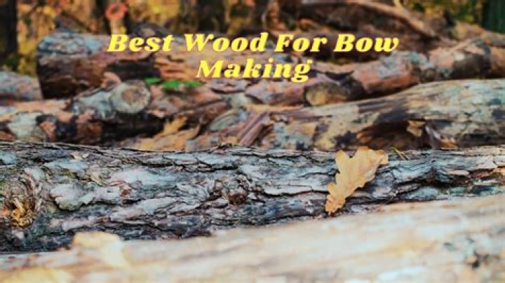 What is the best bowmaker?