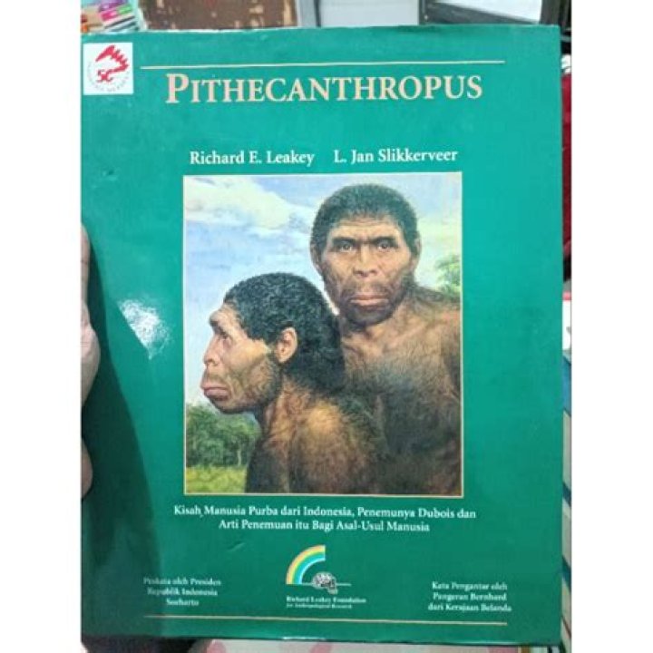 What is the meaning pithecanthropus?