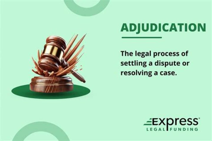 What is to adjudicate?