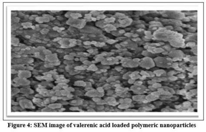 What is valerianic acid?