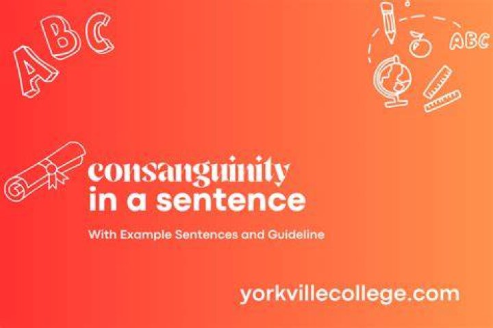 Whats a sentence for consanguinity?