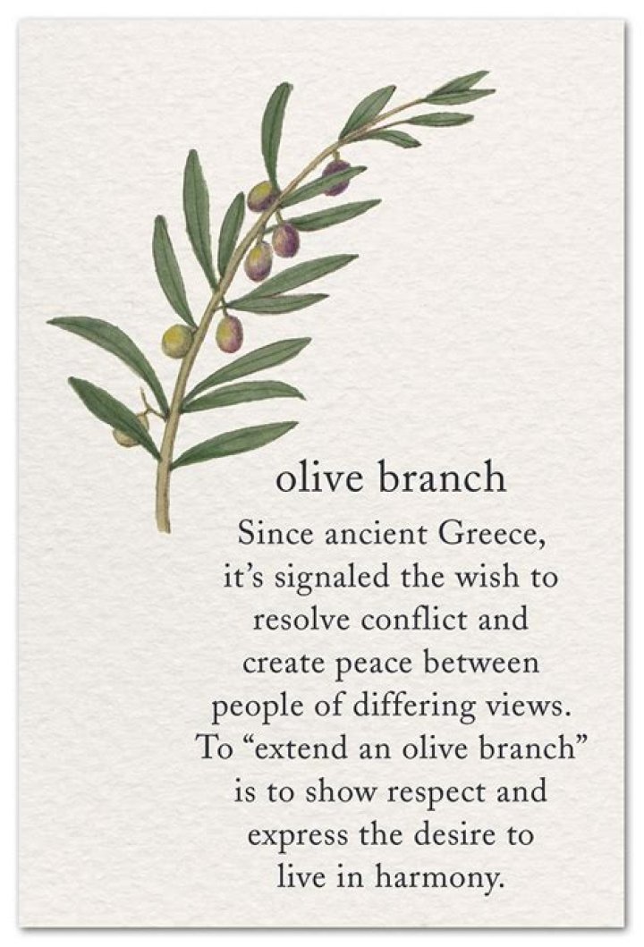 Whats an olive branch?