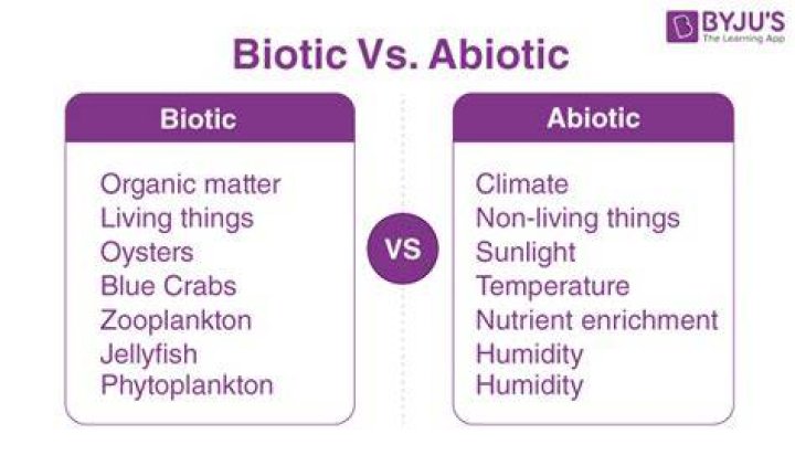 Whats biotic and abiotic?