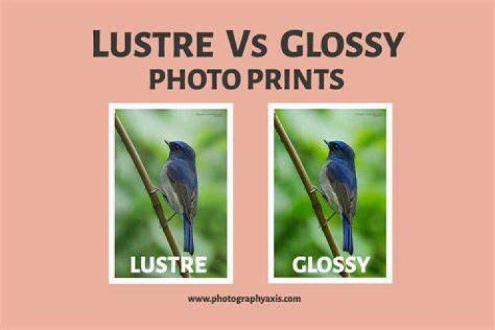 Whats the difference between glossy and lustre?