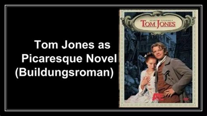 When did picaresque novel begin?