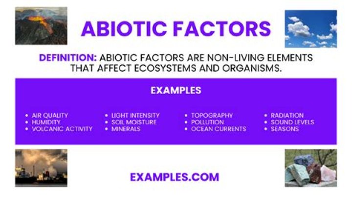 When does abiotic factors mean?