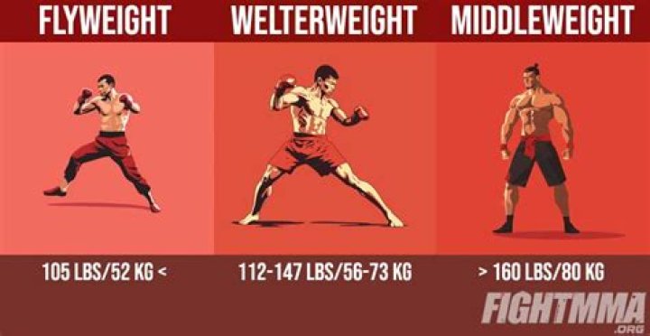 When is flyweight used?