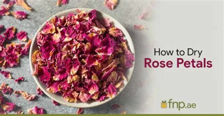 When to dry rose petals?