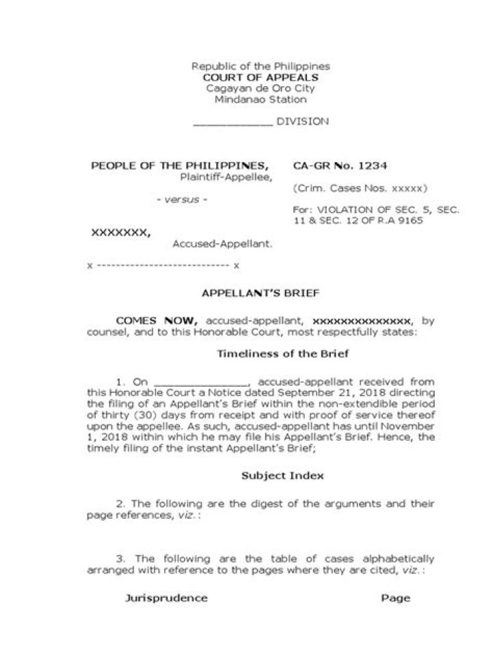 When to file appellant's brief?