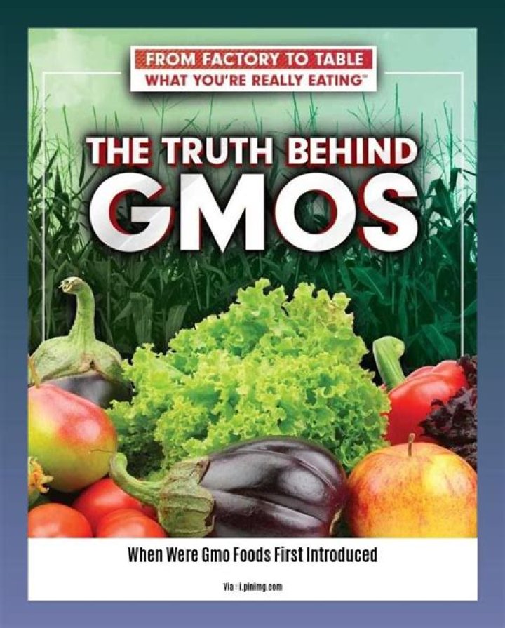 When was gmo introduced?